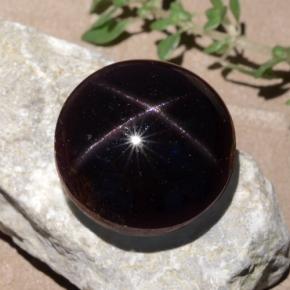 Grenat étoilé rouge naturelle coupe roude, 26,52 ct, opaque