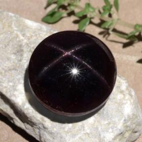 Grenat étoilé rouge naturelle coupe roude, 26,52 ct, opaque