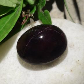 Grenat étoilé noir naturelle coupe ovale, 31,18 ct, opaque