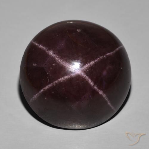 63.29ct Naturel Rouge foncé Grenat étoilé, ovale, Opaque