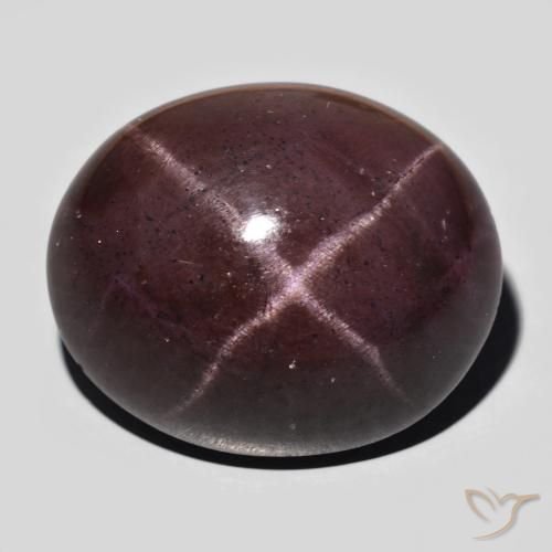 64.74ct Naturel Rouge acajou Grenat étoilé, ovale, Opaque