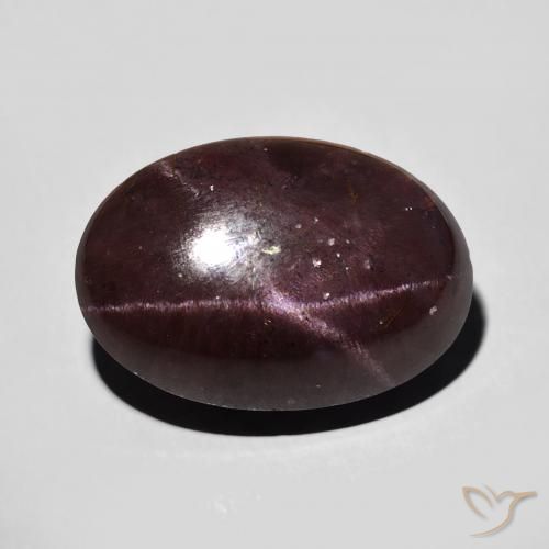 15.62ct Naturel Rouge foncé Grenat étoilé, ovale, Opaque