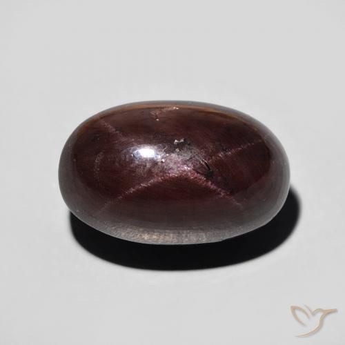 11.47ct Naturel Rouge foncé Grenat étoilé, ovale, Opaque