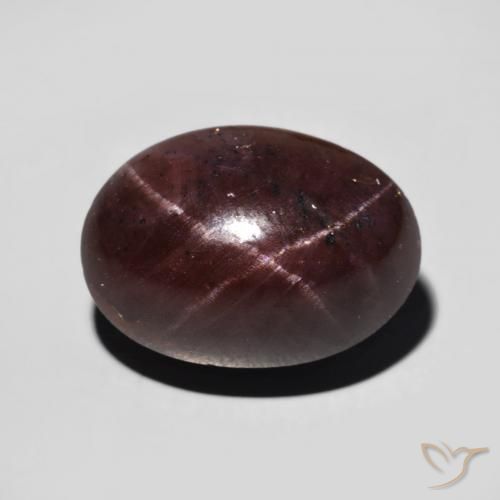 11.12ct Naturel Rouge foncé Grenat étoilé, ovale, Opaque