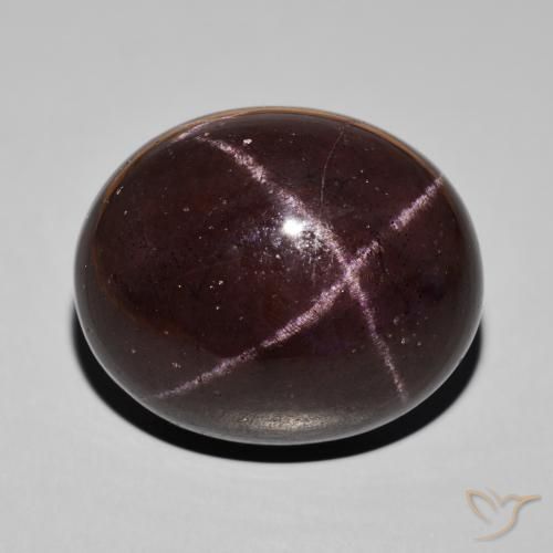 66.39ct Naturel Rouge foncé Grenat étoilé, ovale, Opaque