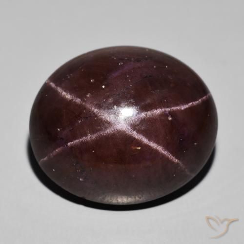 62.94ct Naturel Rouge foncé Grenat étoilé, ovale, Opaque