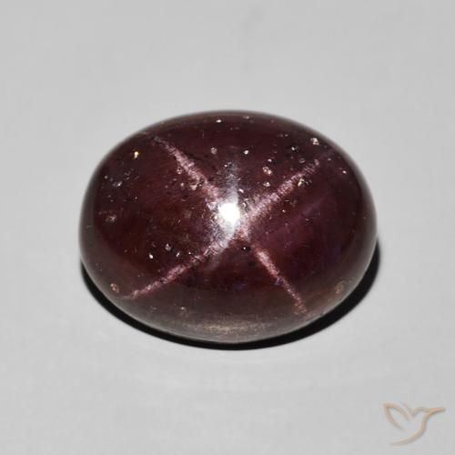14.88ct Naturel Rouge foncé Grenat étoilé, ovale, Opaque