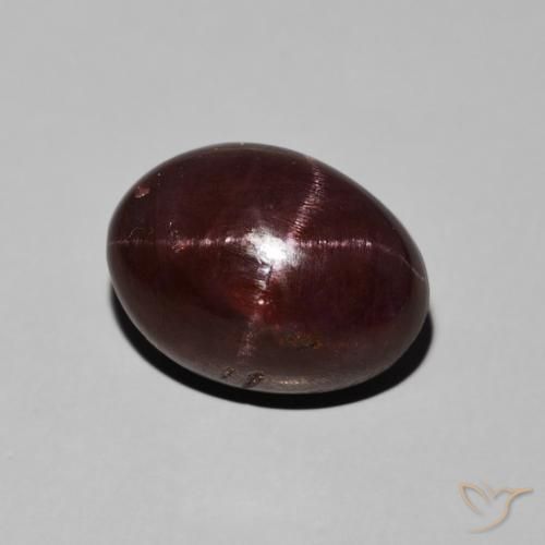 11.30ct Naturel Rouge foncé Grenat étoilé, ovale, Opaque