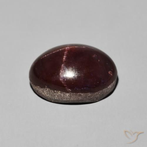 Grenat étoilé Rouge foncé naturelle ovale, 11.30 ct, Opaque