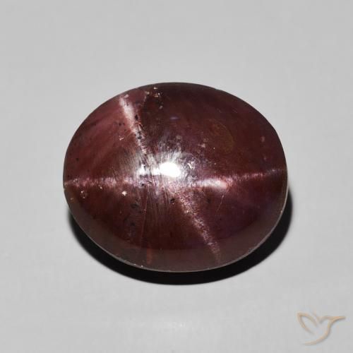 13.83ct Naturel Rouge acajou Grenat étoilé, ovale, Opaque