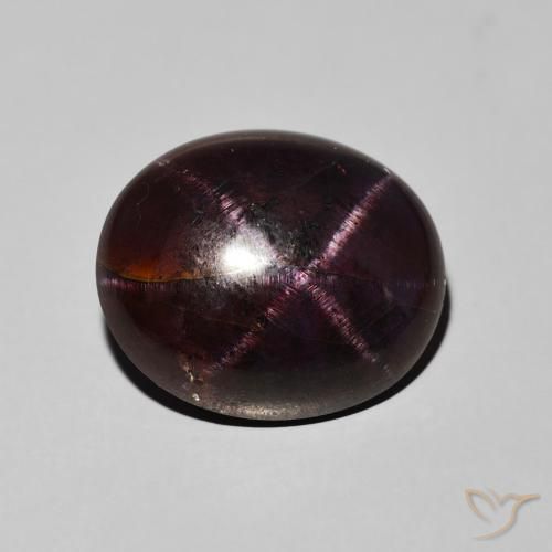 16.21ct Naturel Rouge foncé Grenat étoilé, ovale, Opaque