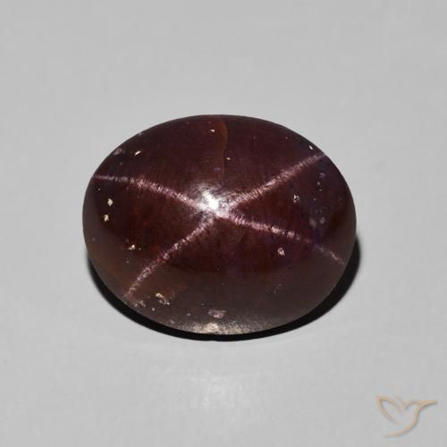 9.76ct Naturel Rouge foncé Grenat étoilé, ovale, Opaque