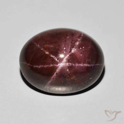 33.69ct Naturel Rouge foncé Grenat étoilé, ovale, Opaque