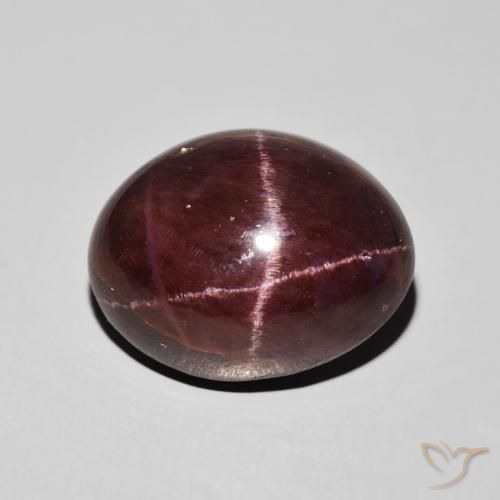 21.16ct Naturel Rouge foncé Grenat étoilé, ovale, Opaque