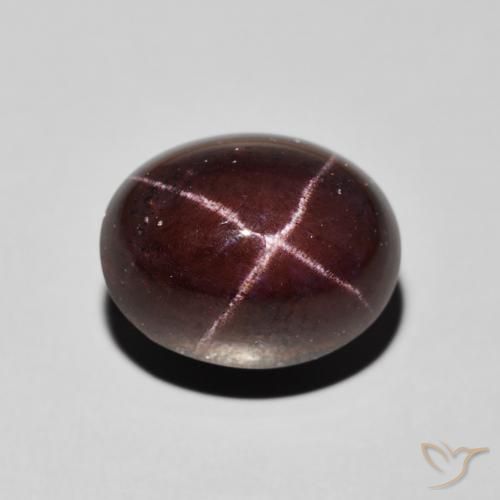 13.49ct Naturel Rouge foncé Grenat étoilé, ovale, Opaque