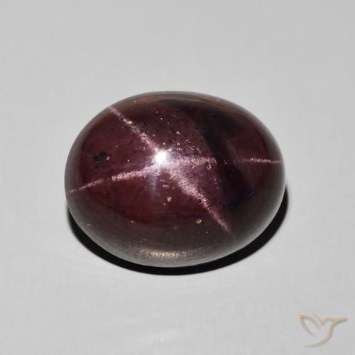 27.66ct Naturel Rouge foncé Grenat étoilé, ovale, Opaque