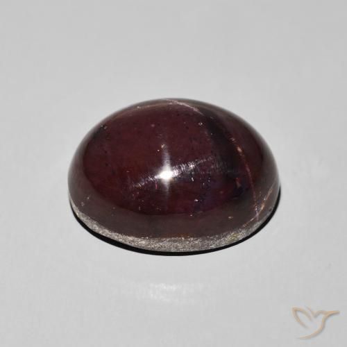 Grenat étoilé Rouge foncé naturelle ovale, 27.66 ct, Opaque