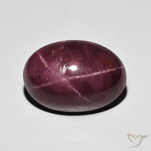 17.39ct Naturel Rouge foncé Grenat étoilé, ovale, Opaque