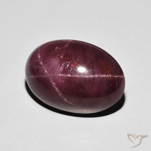 Grenat étoilé Rouge foncé naturelle ovale, 17.39 ct, Opaque