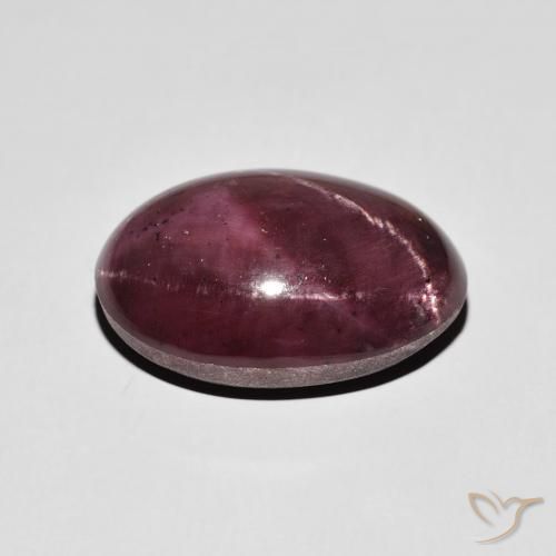 Grenat étoilé Rouge foncé naturelle ovale, 17.39 ct, Opaque
