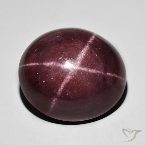 72.25ct Naturel Rouge acajou Grenat étoilé, ovale, Opaque