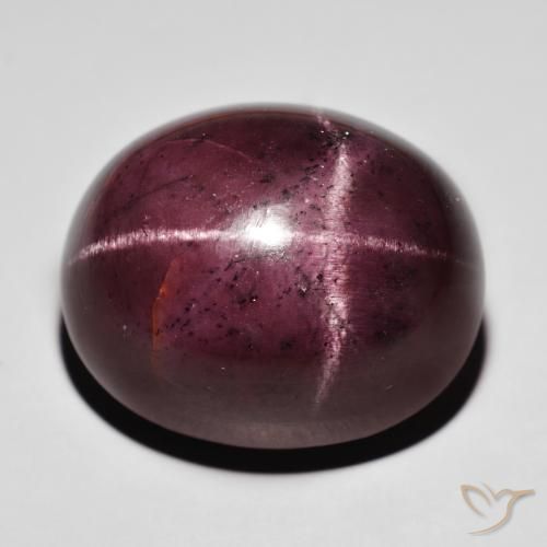 88.20ct Naturel Rouge foncé Grenat étoilé, ovale, Opaque