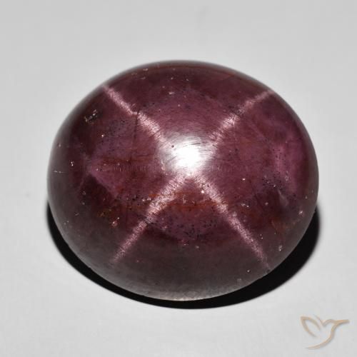 63.04ct Naturel Rouge acajou Grenat étoilé, ovale, Opaque