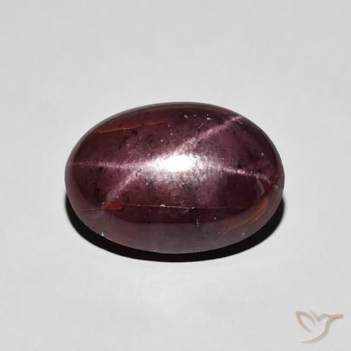 7.23ct Naturel Rouge foncé Grenat étoilé, ovale, Opaque