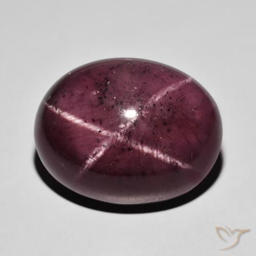 37.81ct Naturel Rouge foncé Grenat étoilé, ovale, Opaque