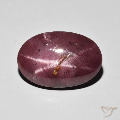 10.84ct Naturel Rouge foncé Grenat étoilé, ovale, Opaque