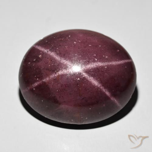 64.50ct Naturel Rouge acajou Grenat étoilé, ovale, Opaque