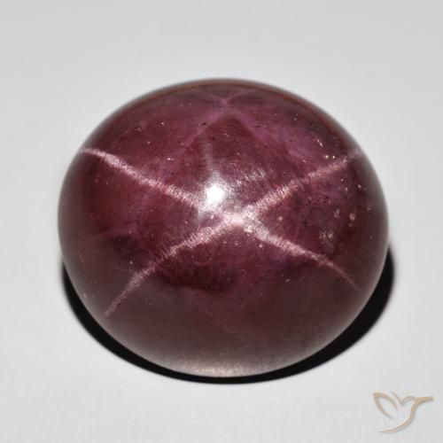 77.87ct Naturel Rouge acajou Grenat étoilé, ovale, Opaque
