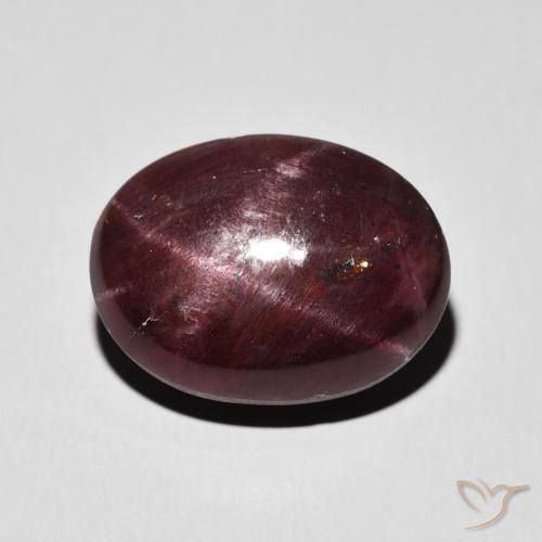 14.27ct Naturel Rouge foncé Grenat étoilé, ovale, Opaque