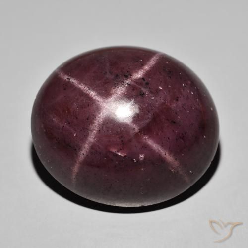 68.19ct Naturel Rouge acajou Grenat étoilé, ovale, Opaque