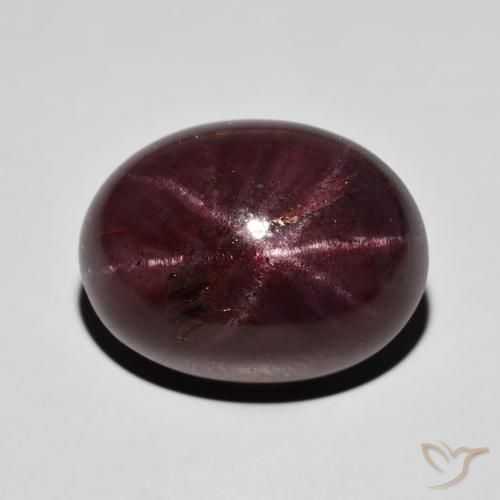30.03ct Naturel Rouge foncé Grenat étoilé, ovale, Opaque