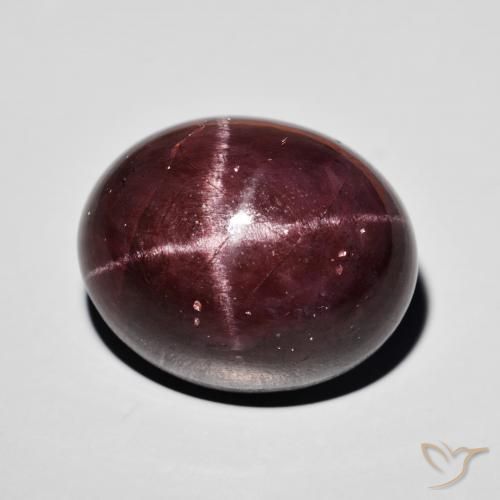 Grenat étoilé Rouge foncé naturelle ovale, 38.44 ct, Opaque