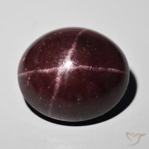 55.50ct Naturel Rouge foncé Grenat étoilé, ovale, Opaque