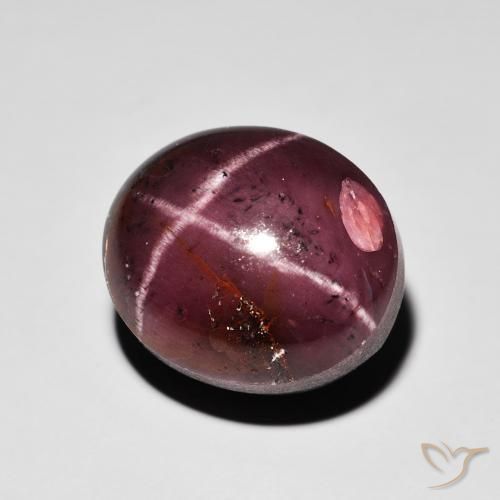 Grenat étoilé Rouge acajou naturelle ovale, 15.64 ct, Opaque
