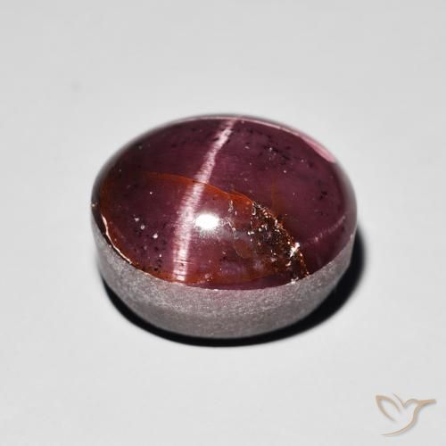 Grenat étoilé Rouge acajou naturelle ovale, 15.64 ct, Opaque