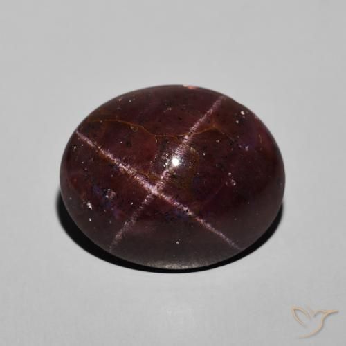 20.07ct Naturel Rouge foncé Grenat étoilé, ovale, Opaque