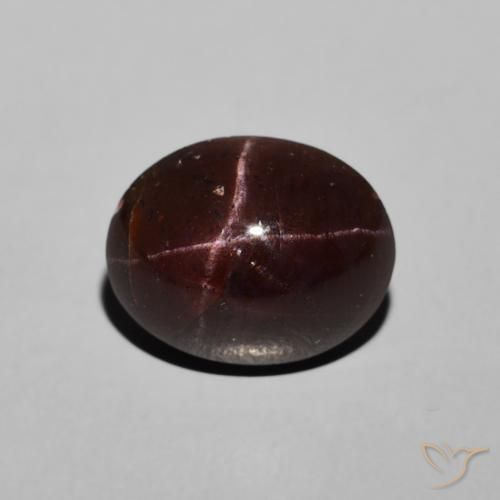6.48ct Naturel Rouge foncé Grenat étoilé, ovale, Opaque