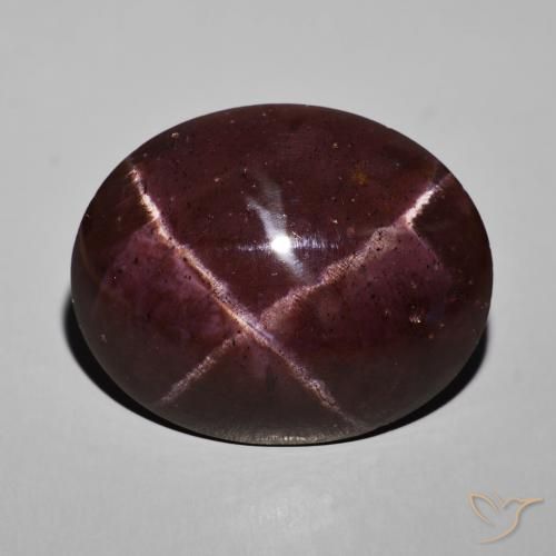 69.04ct Naturel Rouge acajou Grenat étoilé, ovale, Opaque