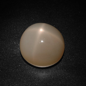 Pierre de lune étoilée crème naturelle transparent, 22,41 ct, transparent / translucide