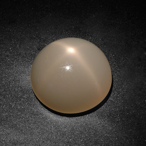 Pierre de lune étoilée crème naturelle transparent, 19,71 ct, transparent / translucide