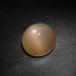 Pierre de lune étoilée crème naturelle transparent, 15,59 ct, transparent / translucide