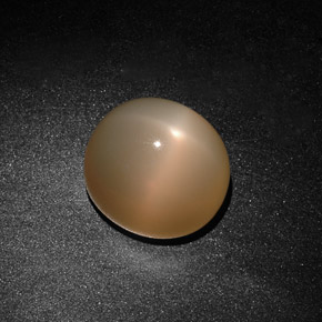 Pierre de lune étoilée crème naturelle transparent, 15,59 ct, transparent / translucide