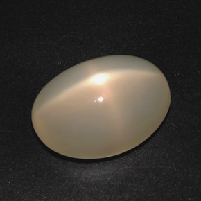 Pierre de lune étoilée Crème naturelle Coupe ovale, 16.55 ct, Translucide