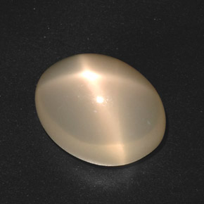 Pierre de lune étoilée crème naturelle coupe ovale, 17,40 ct, translucide