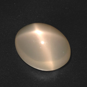 Pierre de lune étoilée crème naturelle coupe ovale, 17,40 ct, translucide