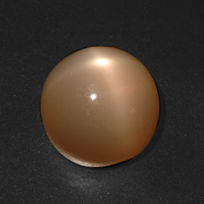Pierre de lune étoilée Orange crémeux naturelle Coupe roude, 20.73 ct, Translucide